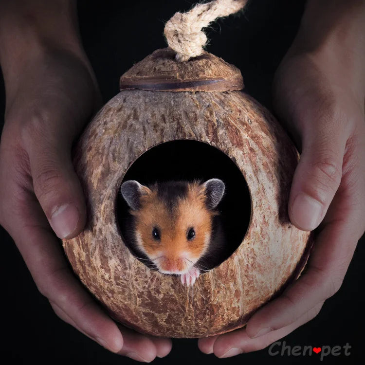 Coconut cage for small animals like hamsters, guinea pigs, and squirrels