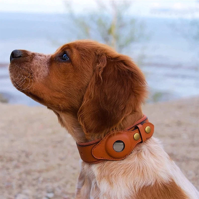 Leather Collar with Apple AirTag Holder - Keep Your Dog Protected