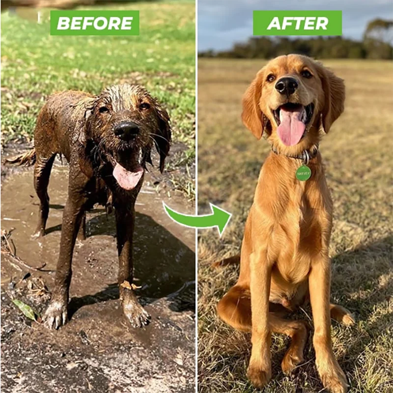 Innovative High-Pressure Pet Nozzle with 3 Adjustable Modes - The Bath Time Revolution