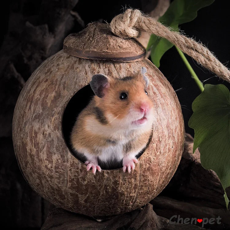 Coconut cage for small animals like hamsters, guinea pigs, and squirrels