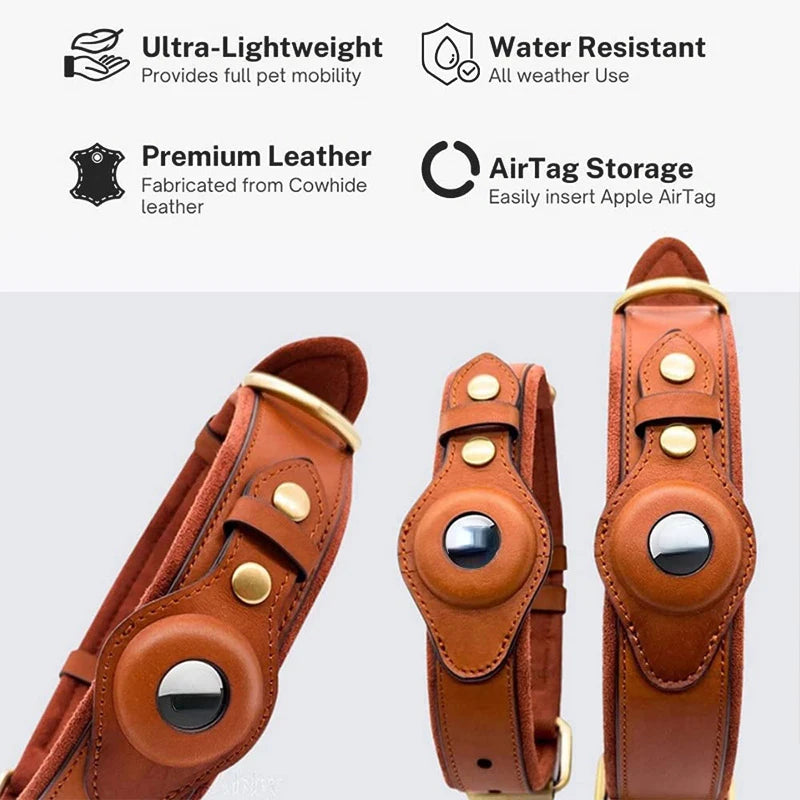 Leather Collar with Apple AirTag Holder - Keep Your Dog Protected