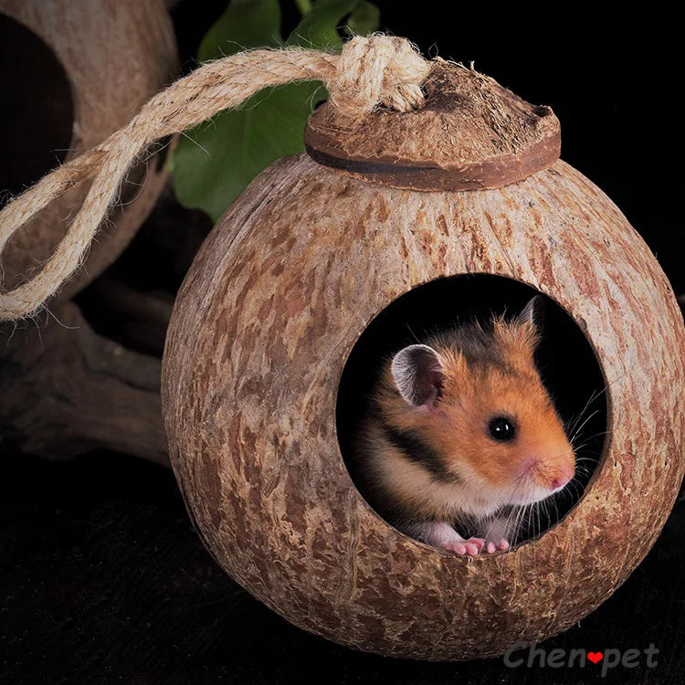 Coconut cage for small animals like hamsters, guinea pigs, and squirrels